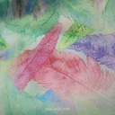 Leaf Multi Colour Print On Habutai Satin S24 HSPS35