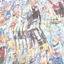  Print On Silk Chiffon S23-SCPS272