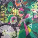 Eye Print On Flat Chiffon FCPS133