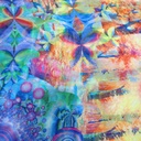 Print On Flat Chiffon FCPS102