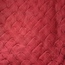 Red Pin Tuck Prints On Embroidered Taffeta ETPS13