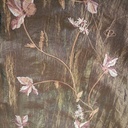 Lilly Prints On Embroidered Taffeta ETPS21