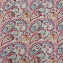 Big Paisley Print On Parsi Boski S24 PBPS16