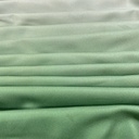 Ombre Alpha Dyed Fabric