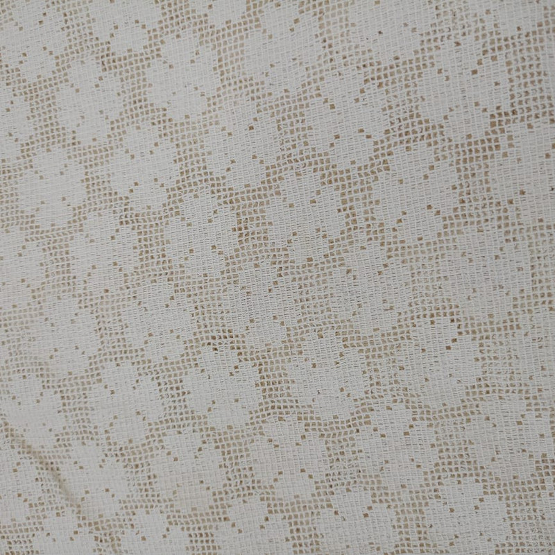 Cotton Schiffli Fabric (SS25) CFFS02