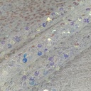 Elsa Sequins AGT0504