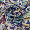 Nargis Valley Print on Chiffon Lurex