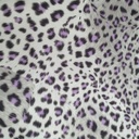Purple Black Leopard Print On Roberto Cavalli RCPS23