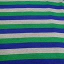 Stripes(Blue & Green) Print On Viscose Knitted  S24 VKPS11