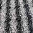 Garter Snake Print On Roberto Cavalli  RCPS10