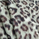 Blackforest Leopard Print On Roberto Cavalli  RCPS07