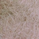 Eskimo Chiffon All Over