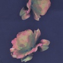 Fierce Flower (Blue) Print On Snake Crepe S23 SCPS8