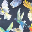 Black Base Birds Print On Korean Satin S23-KSPS18
