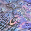 Peacock Skin Print On Silk Chiffon S23-SCPS183