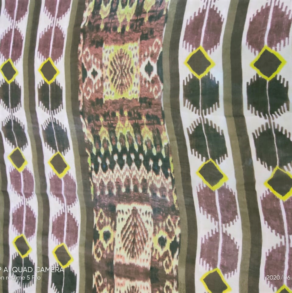 Border Print On Silk Chiffon S23-SCPS124