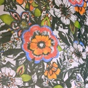 Canvas Print On Silk Chiffon S23-SCPS136