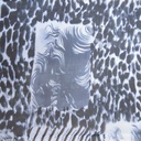 Bernard Leopard Print On Silk Chiffon S23 SCPS226