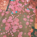 Paisley Floral Print On Silk Chiffon S23-SCPS179
