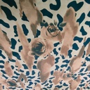 Print On Flat Chiffon FCPS54