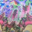 Print On Flat Chiffon FCPS258