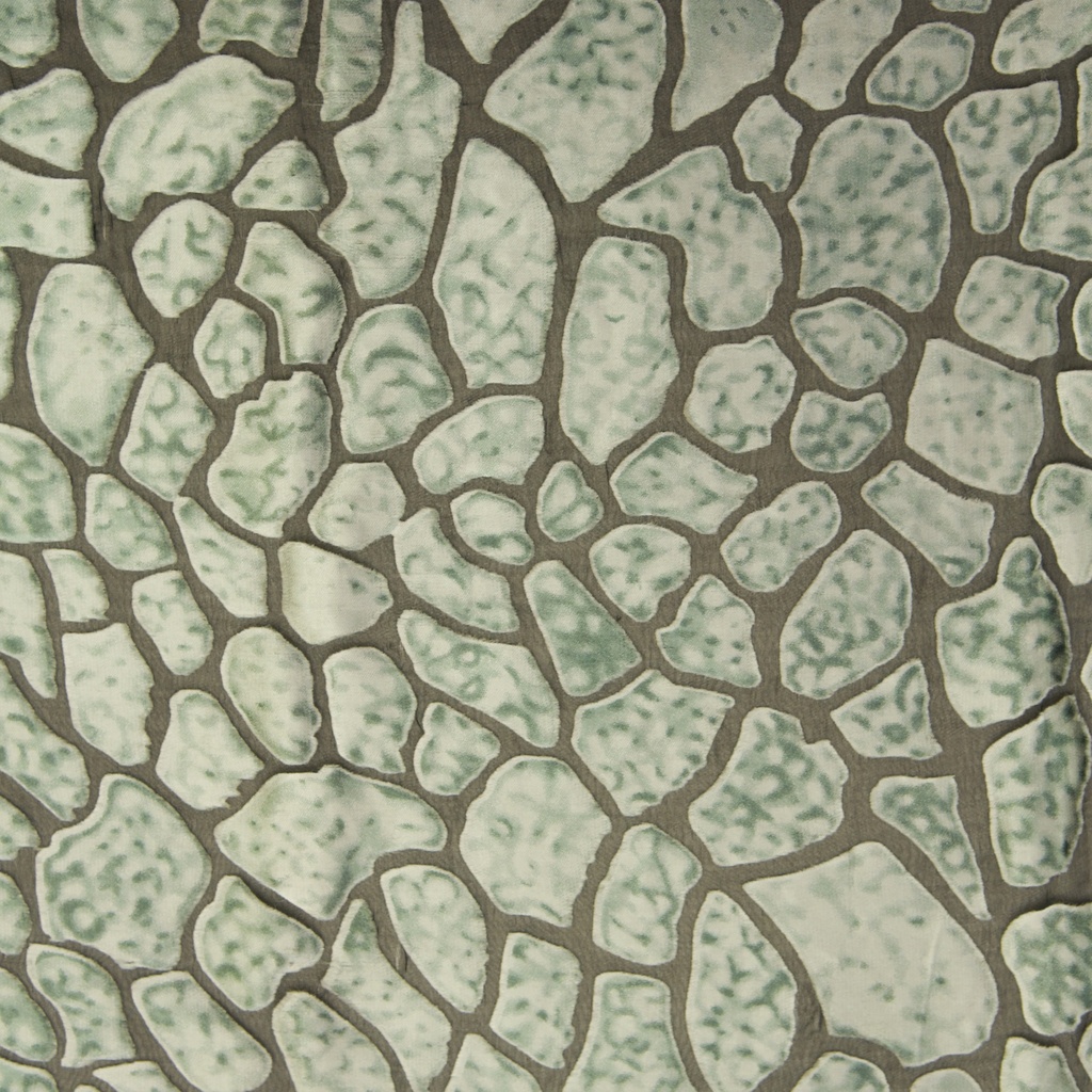 Print On Silk Satin Burnout#20