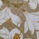 Embroidered Schiffli Print Fabric ESP 01