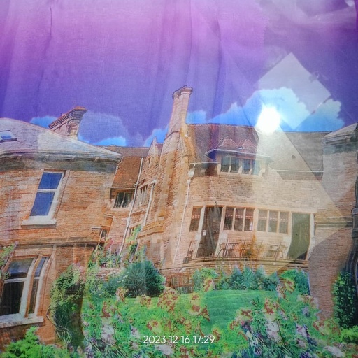 Purple House Print On Habutai Satin S24 HSPS04