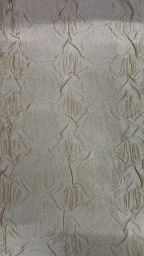 Print On Poly Taffeta (SS25) FFFS33