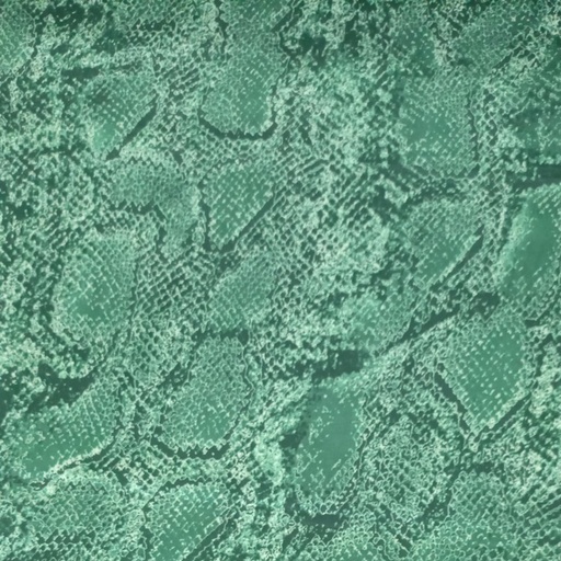 Green Snake Skin Print On Korean Satin SS22L KSPL51